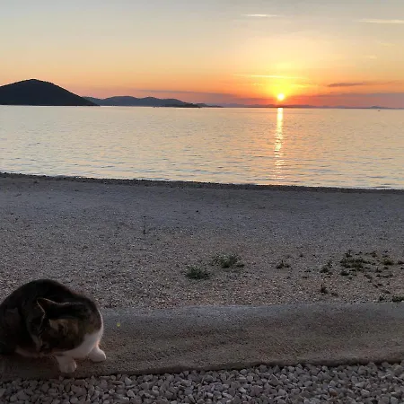 Tatil Evi Buqez Eco - Beachfront 20 & House 42 *