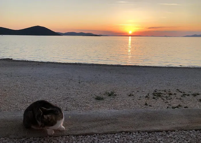 Dom wakacyjny Buqez Eco - Beachfront 20 & House 42 *